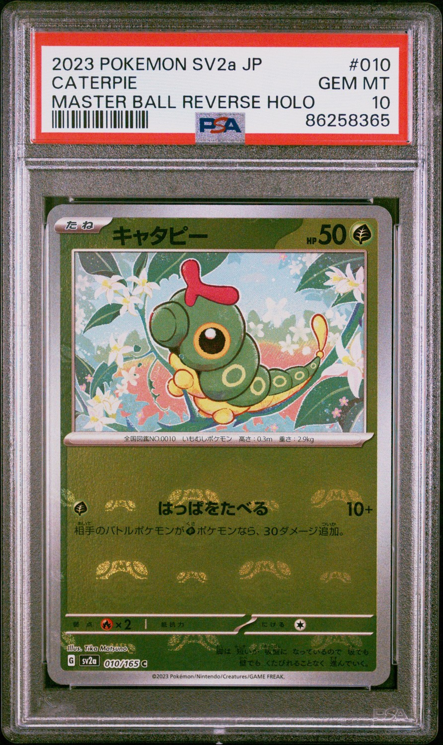 Caterpie