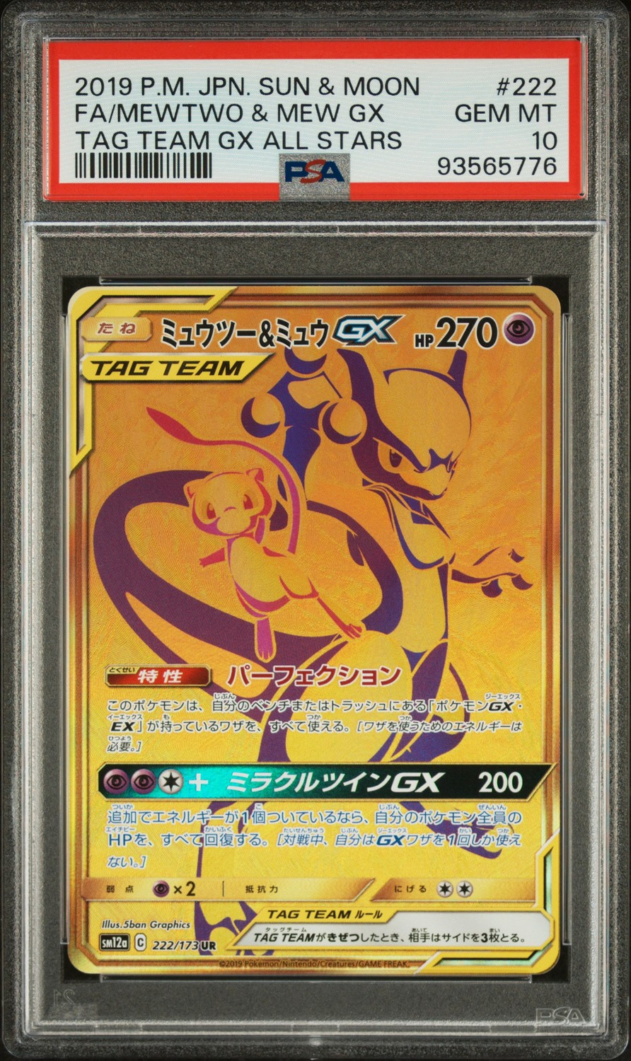 Mewtwo & Mew GX