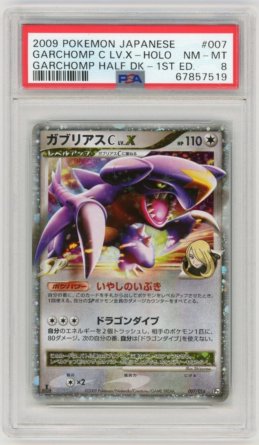 GARCHOMP C LV.X