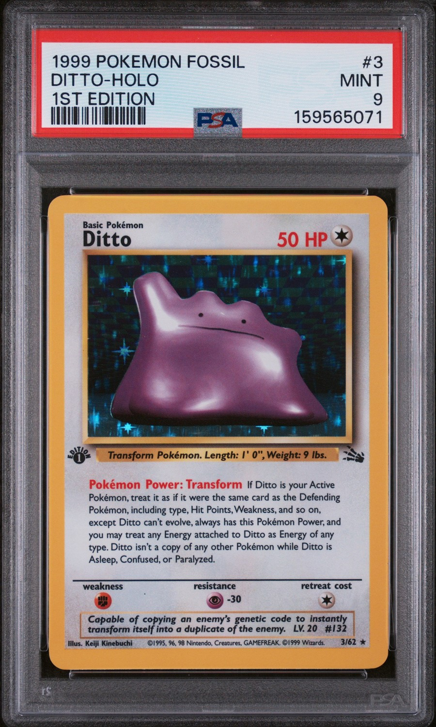 Ditto