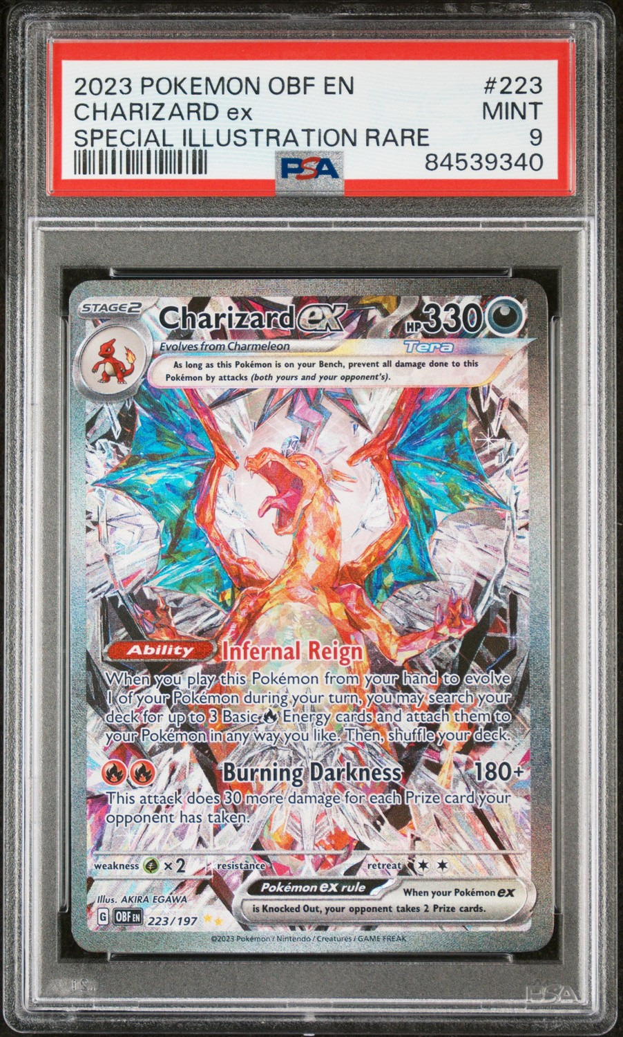 CHARIZARD ex