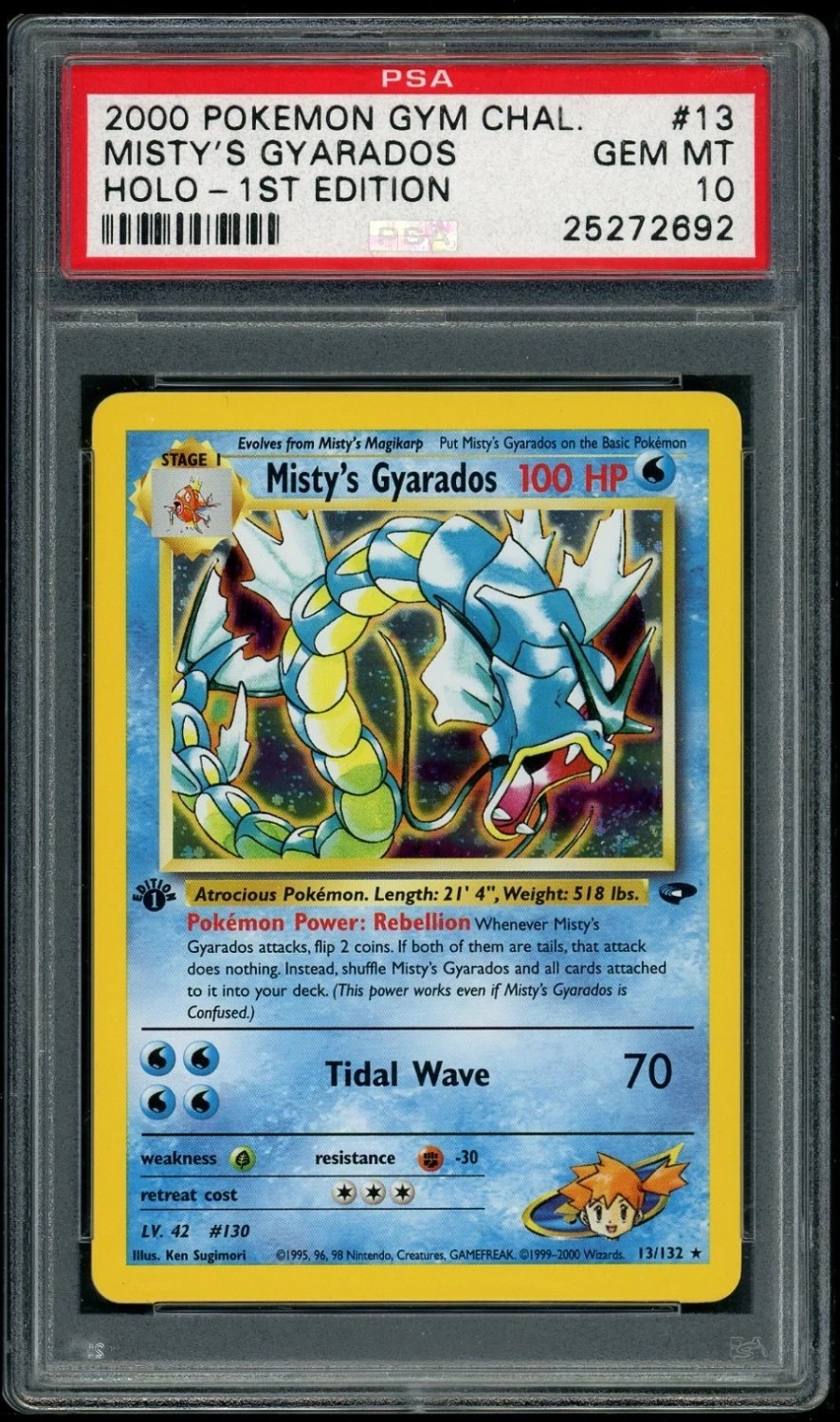Misty's Gyarados