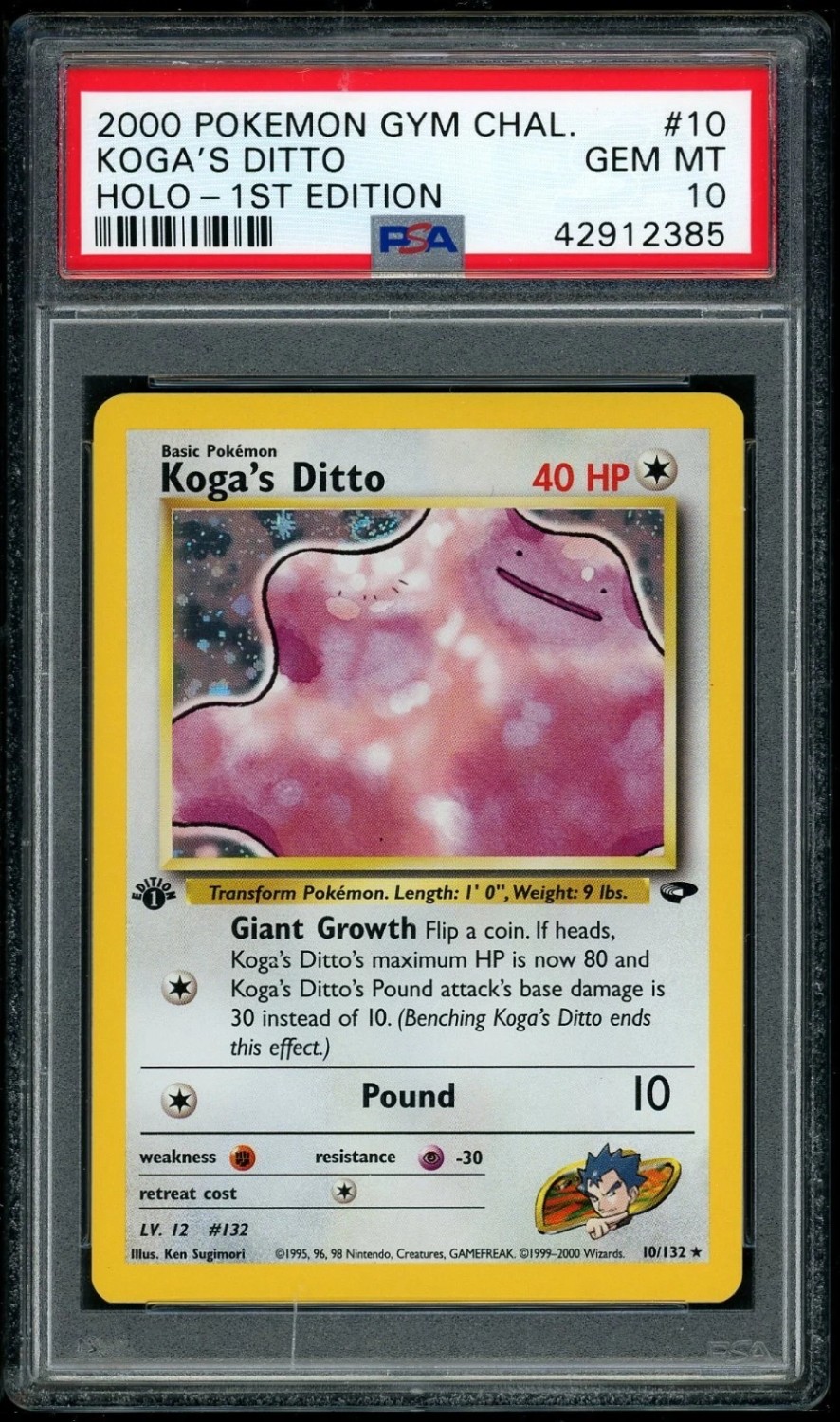 Koga's Ditto