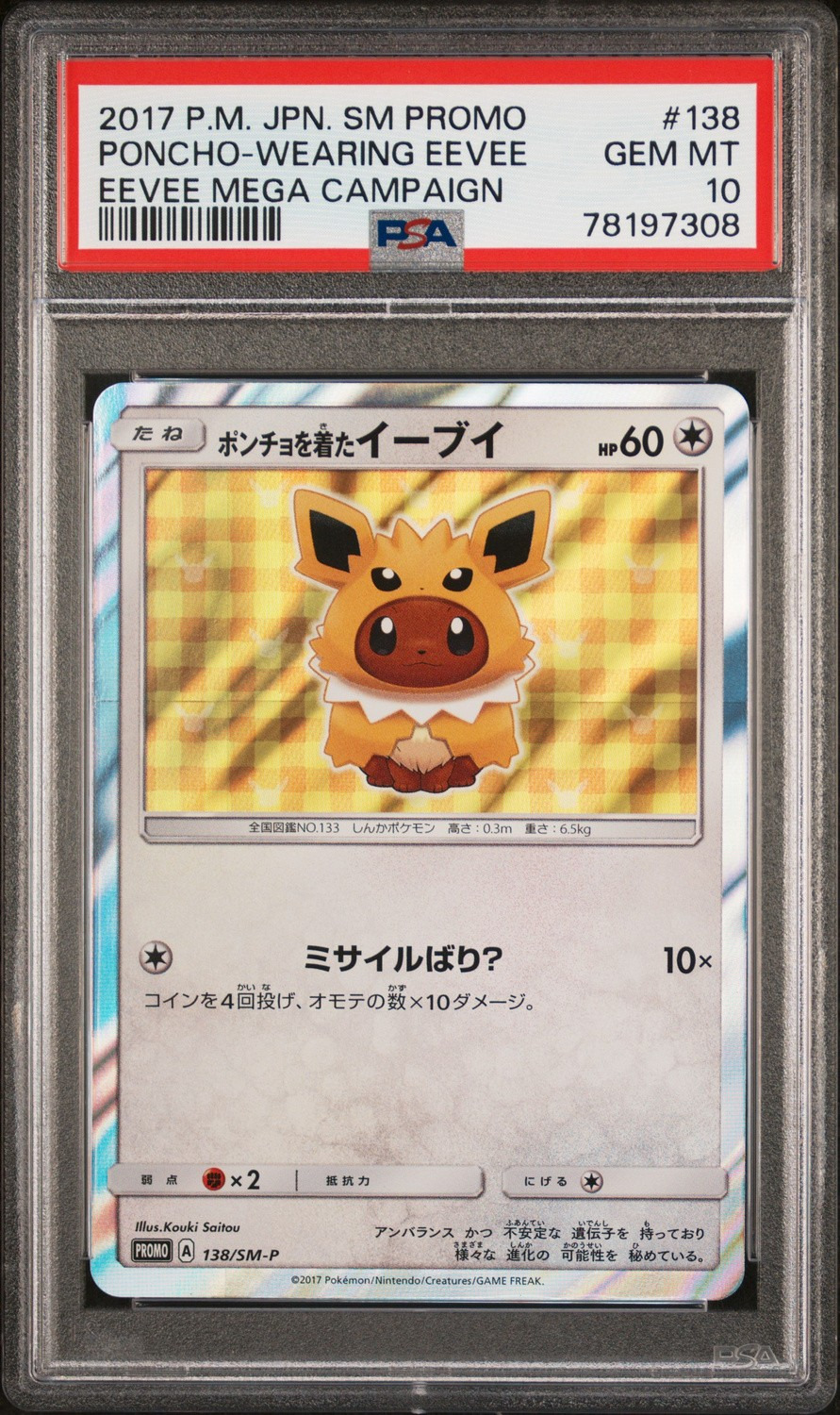 Poncho-wearing Eevee