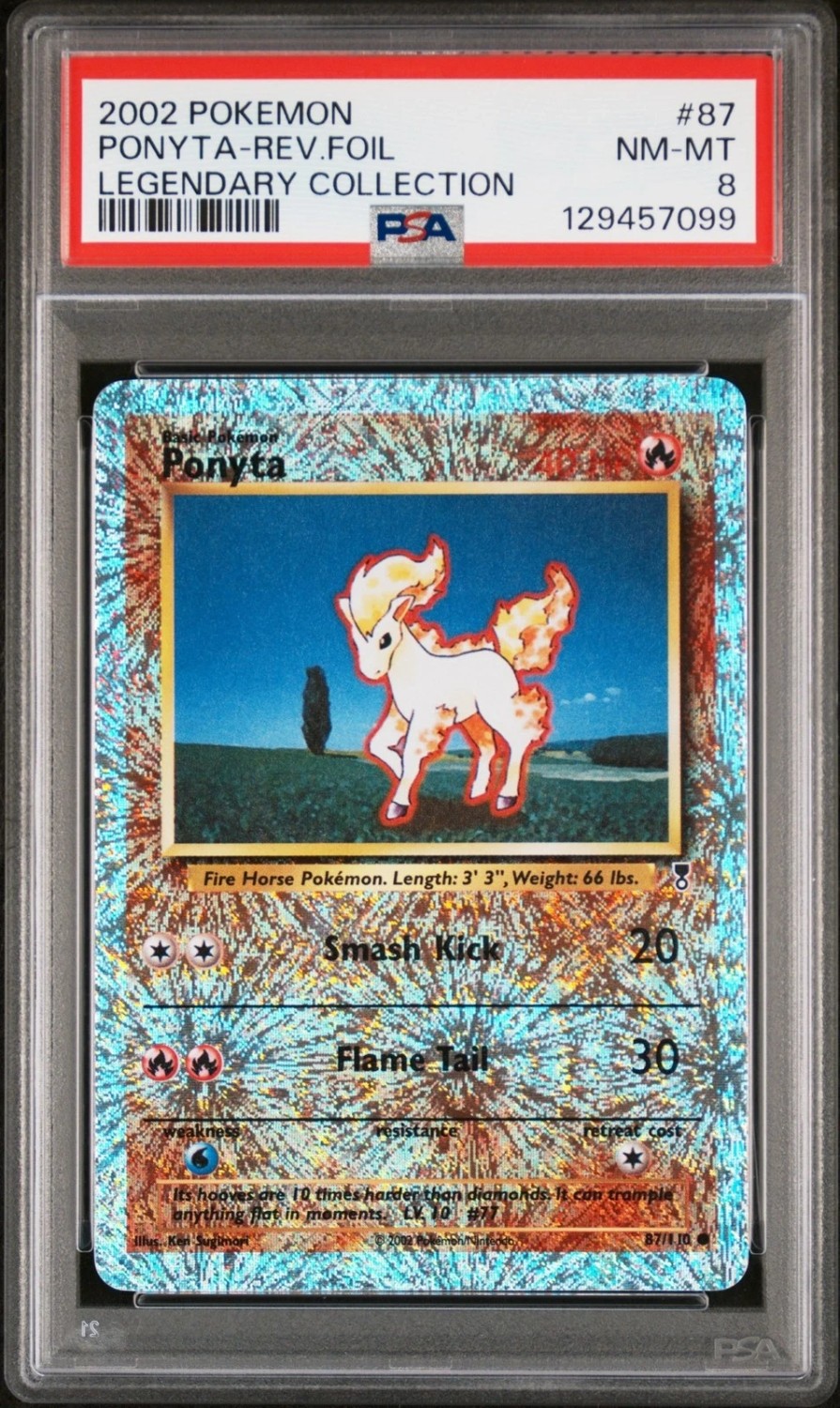 Ponyta C