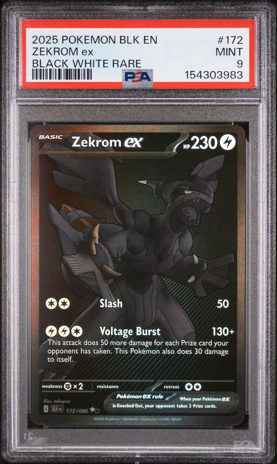 ZEKROM ex