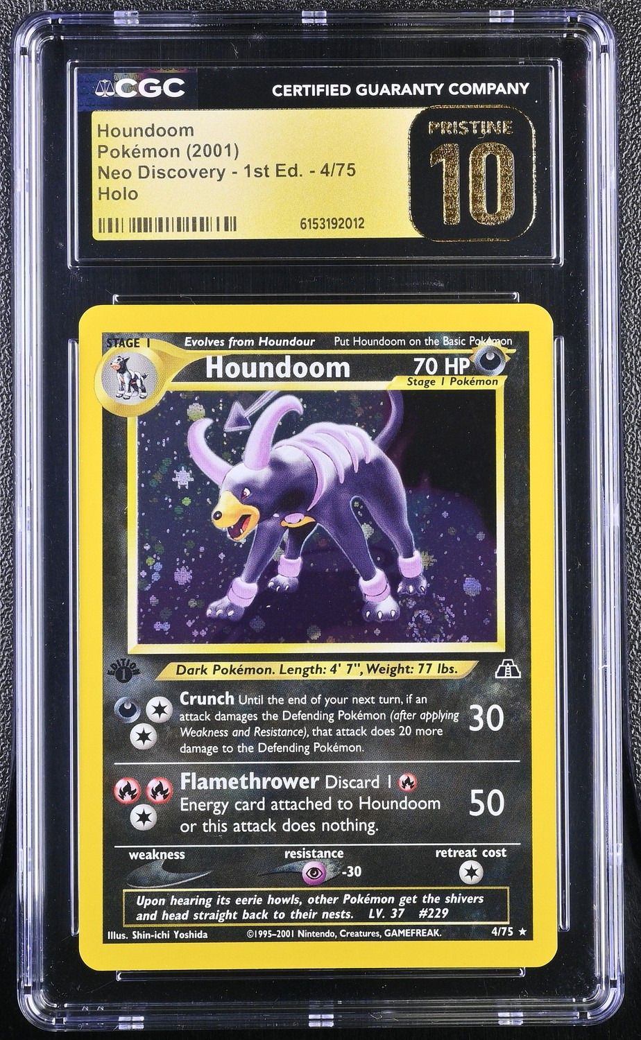 Houndoom