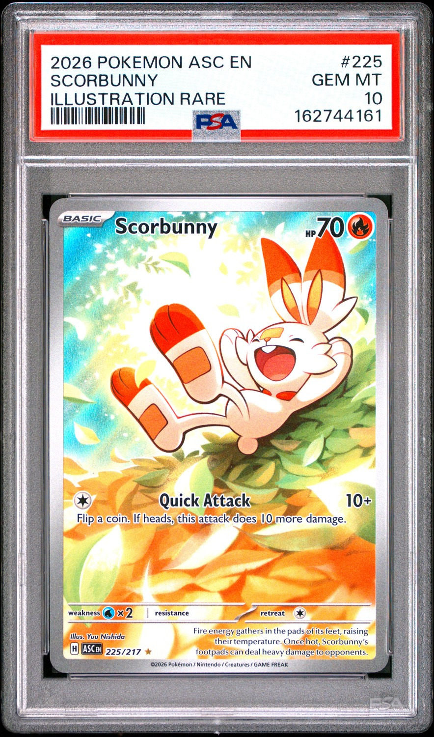 Scorbunny