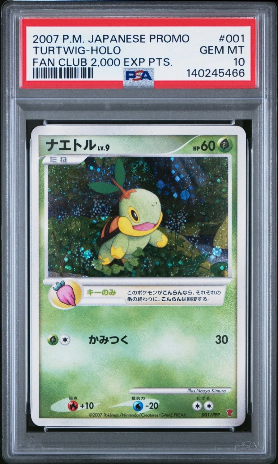 Turtwig