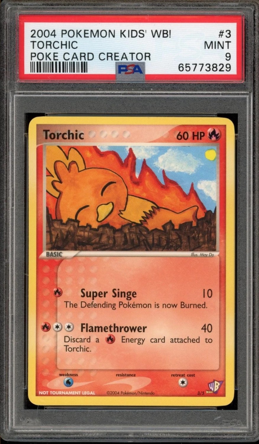 Torchic