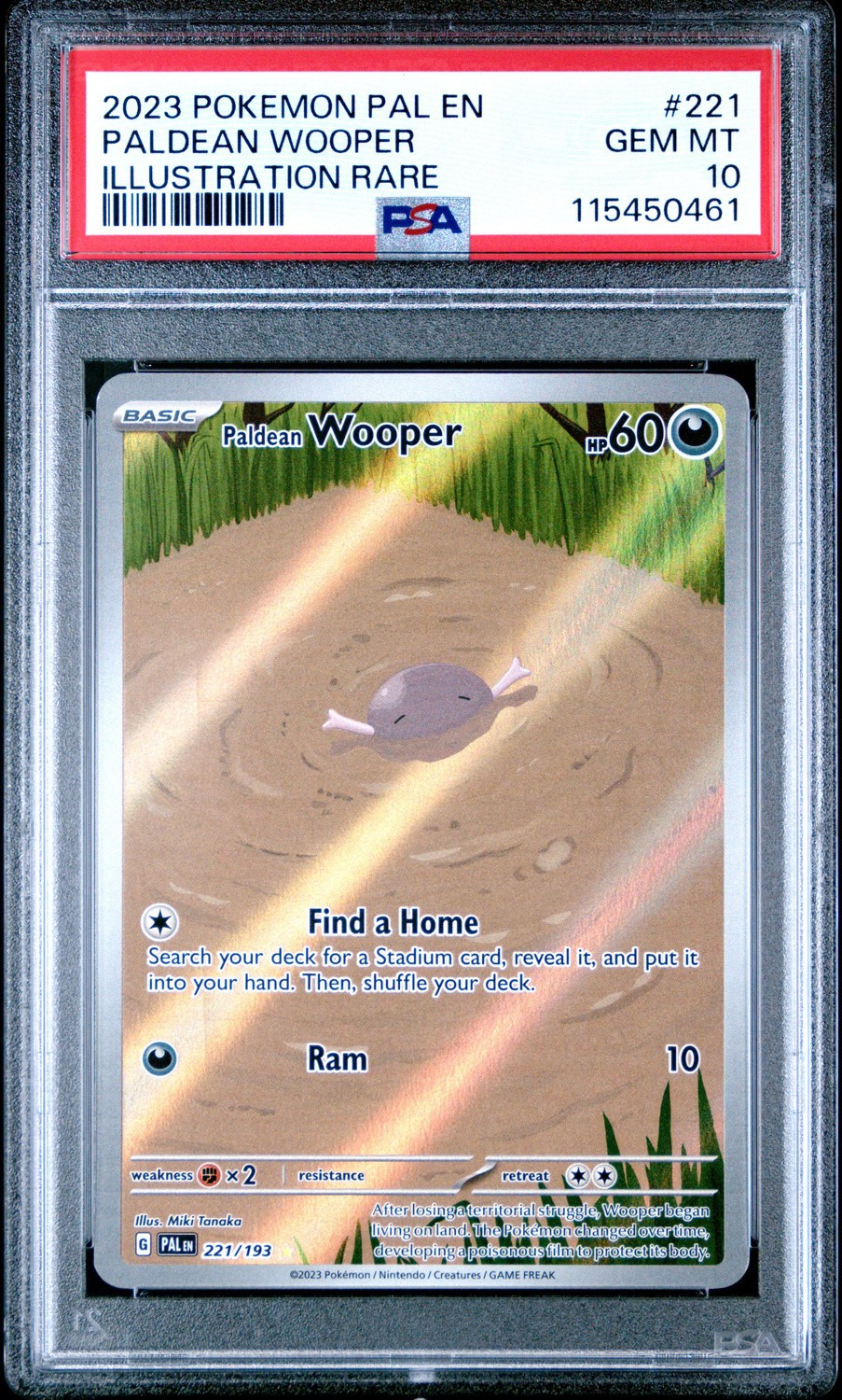 Paldean Wooper