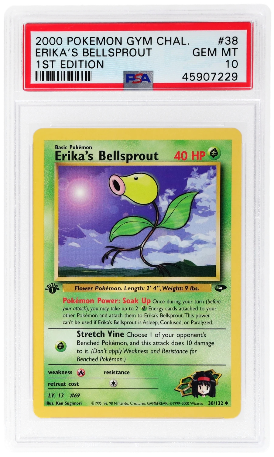 Erika's Bellsprout