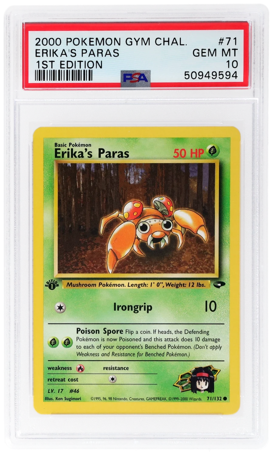 Erika's Paras