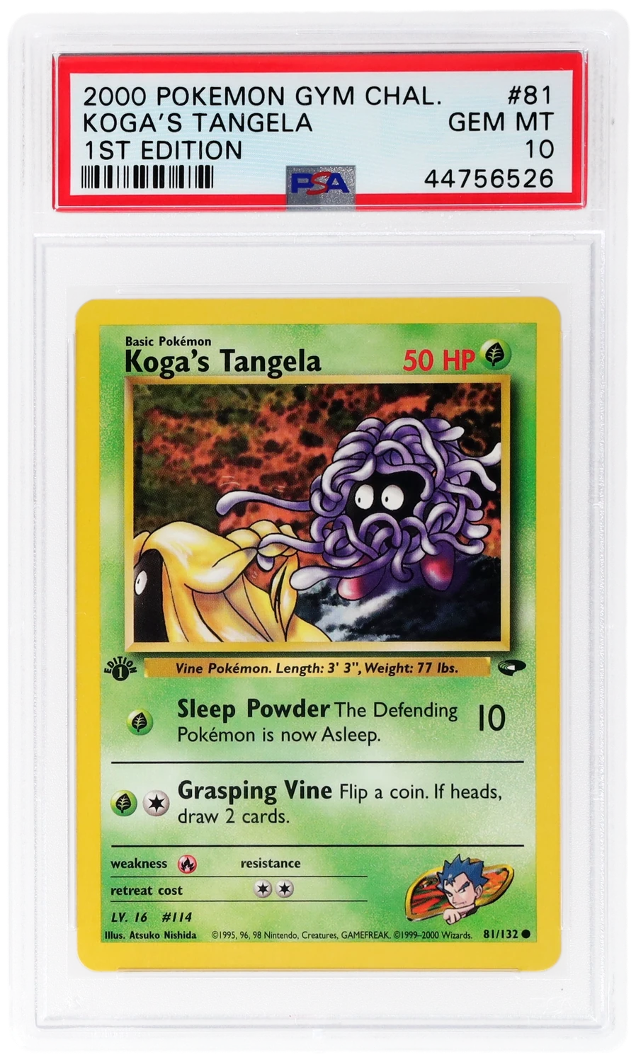 Koga's Tangela