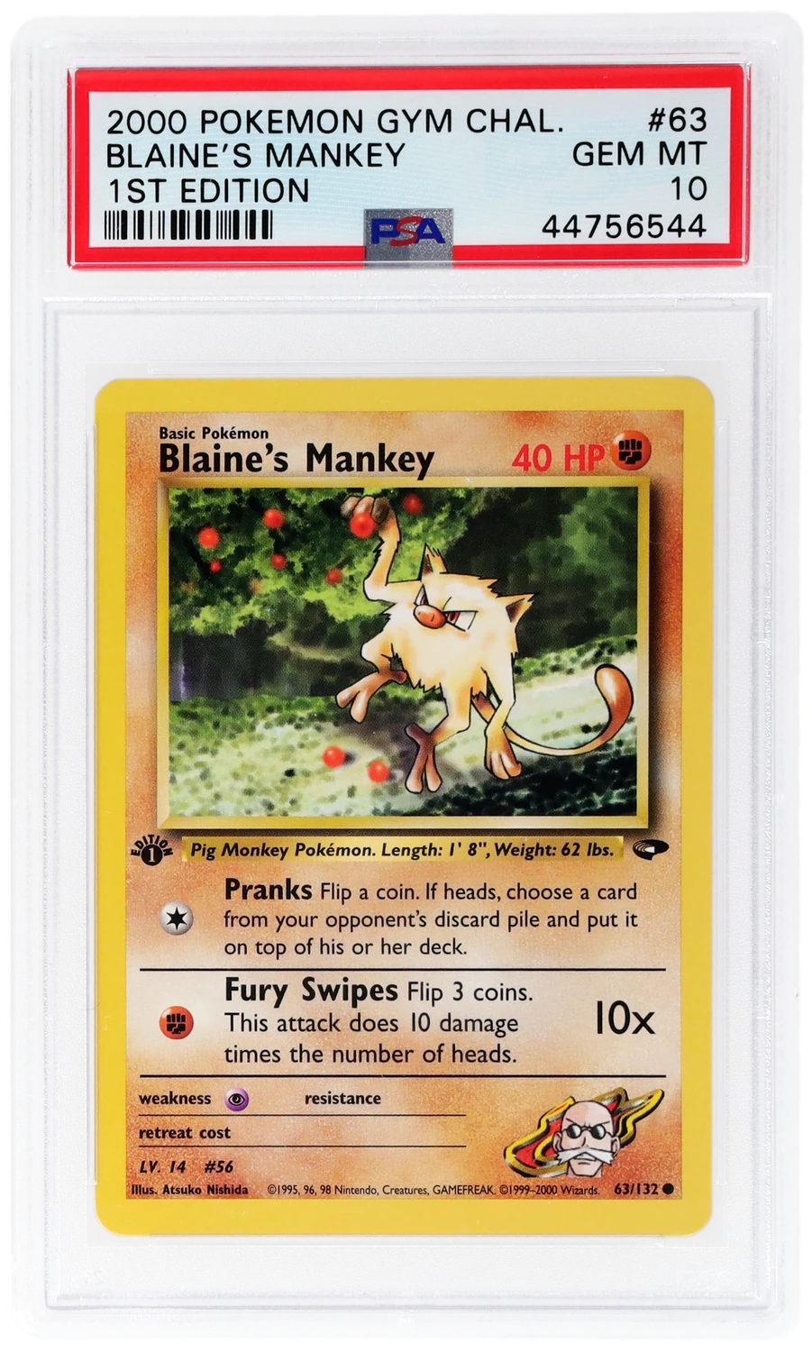 Blaine's Mankey