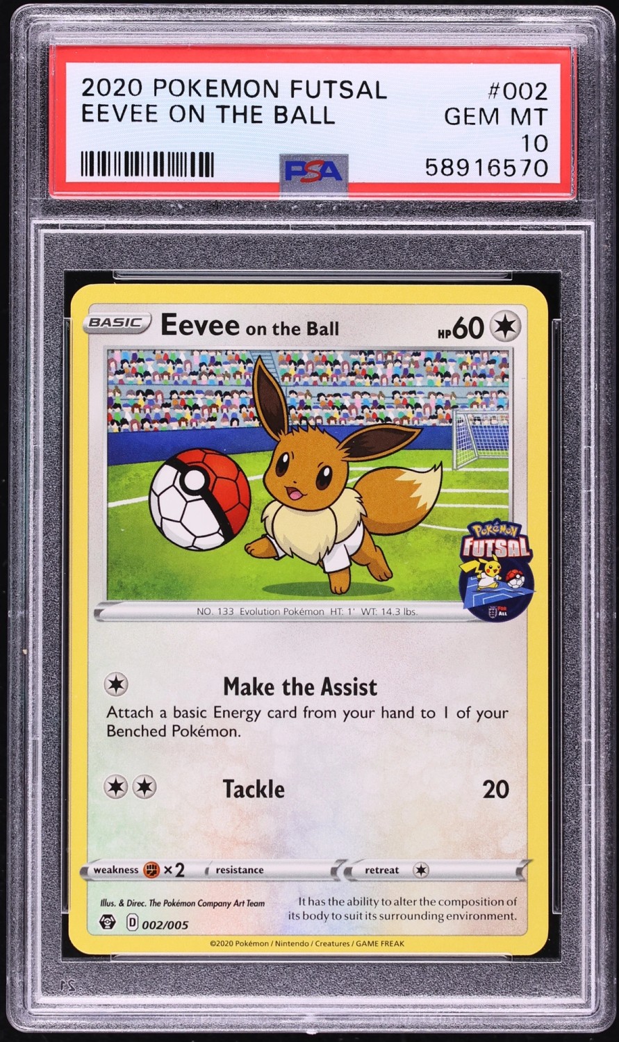 Eevee On The Ball