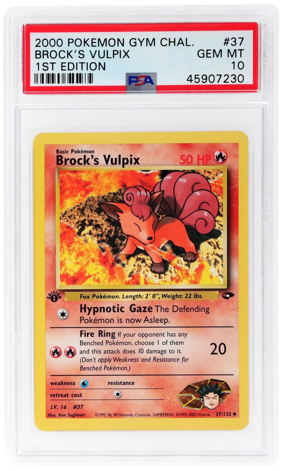 Brock's Vulpix