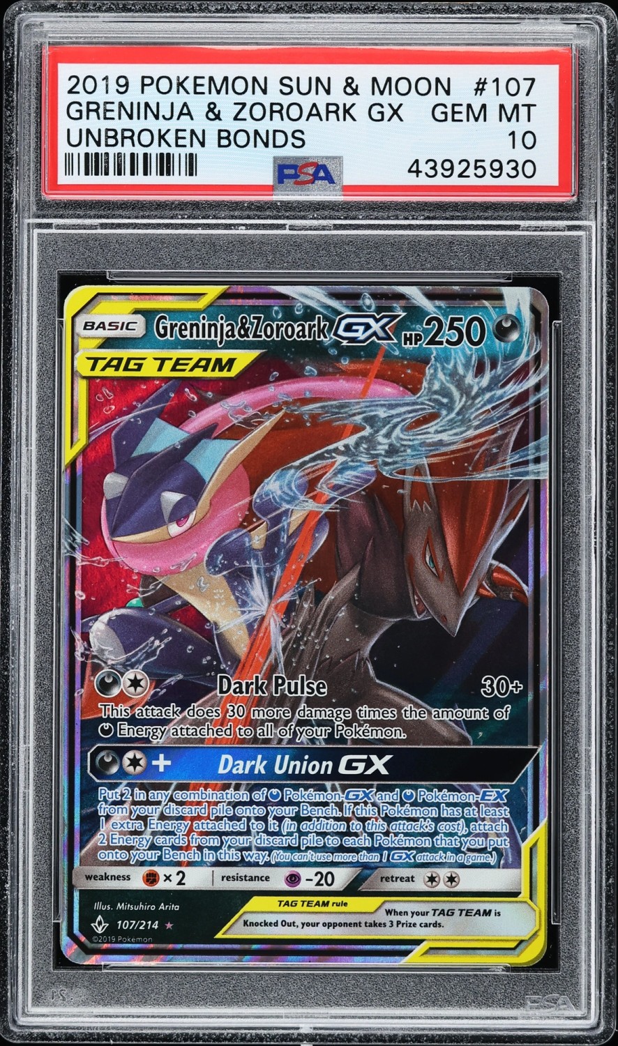 Greninja & Zoroark GX