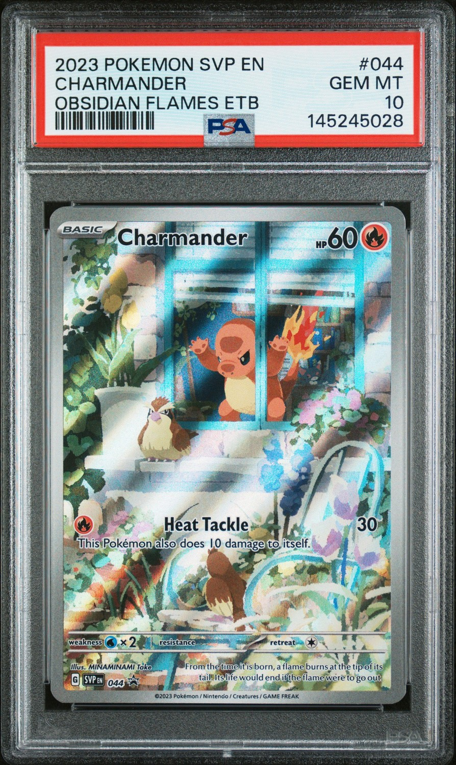 CHARMANDER