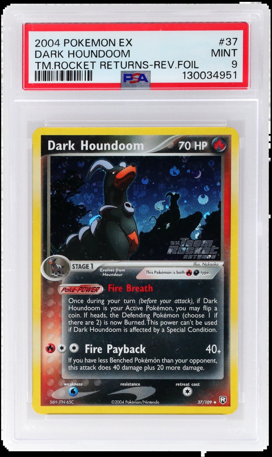 DARK HOUNDoom