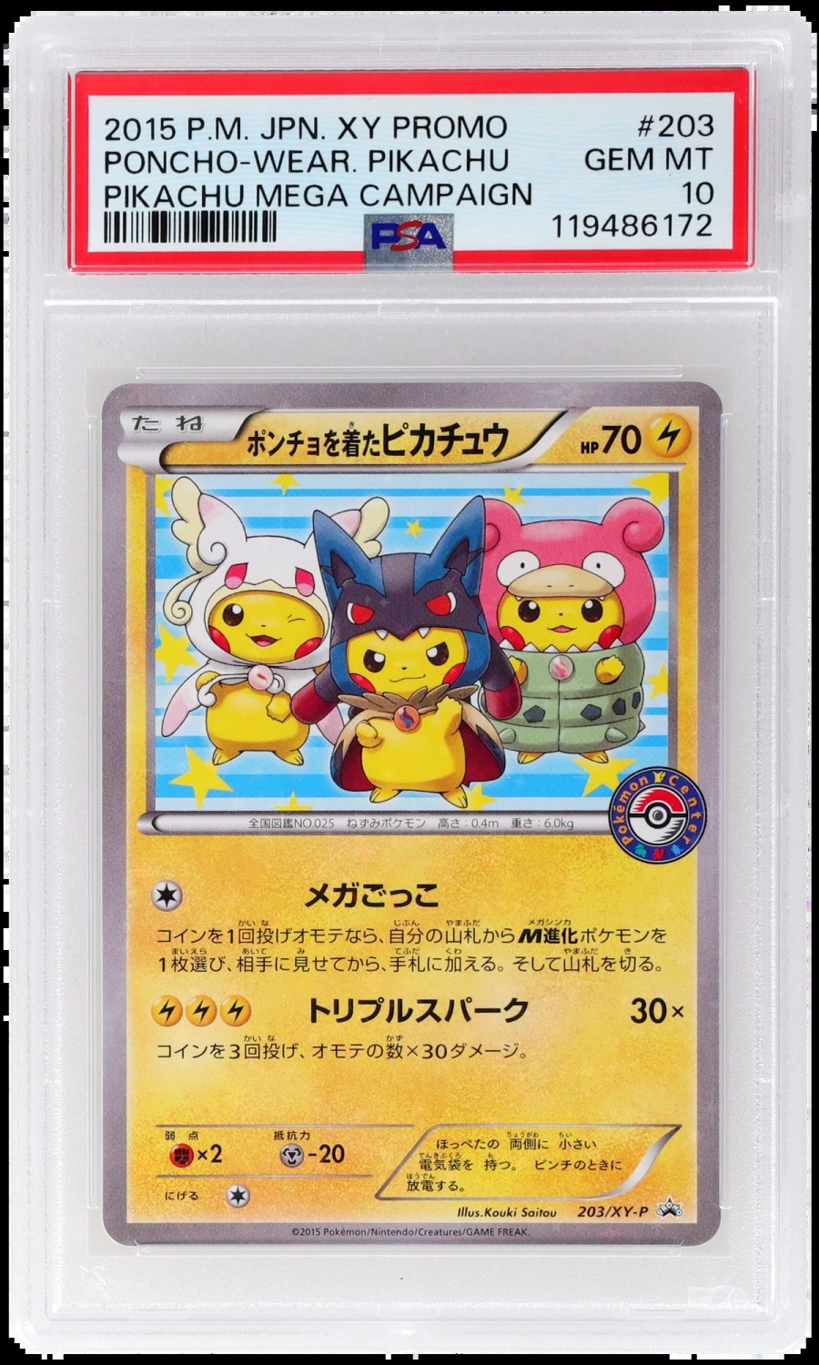 Poncho-Wear Pikachu