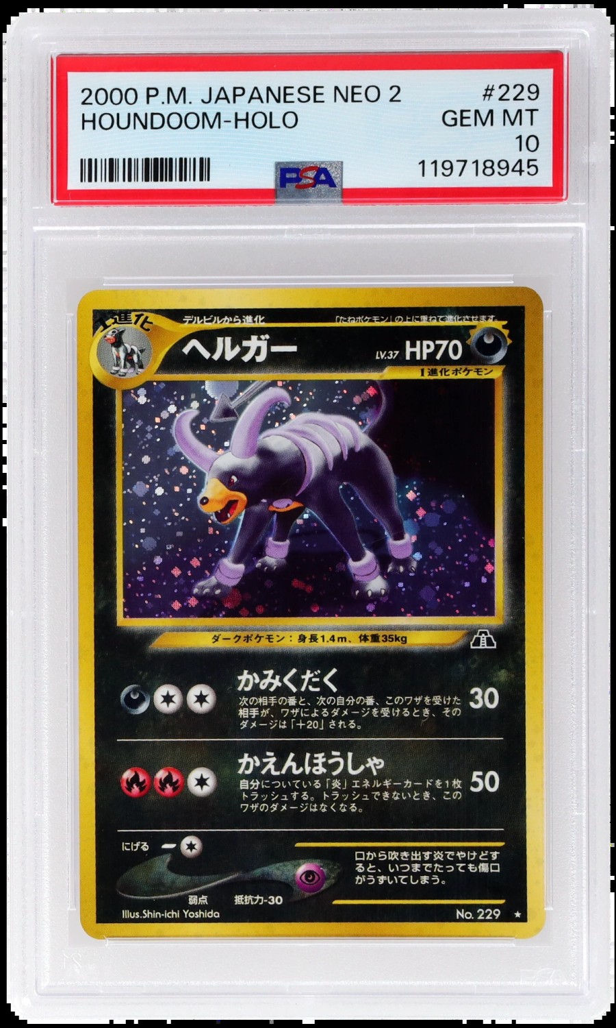 Houndoom