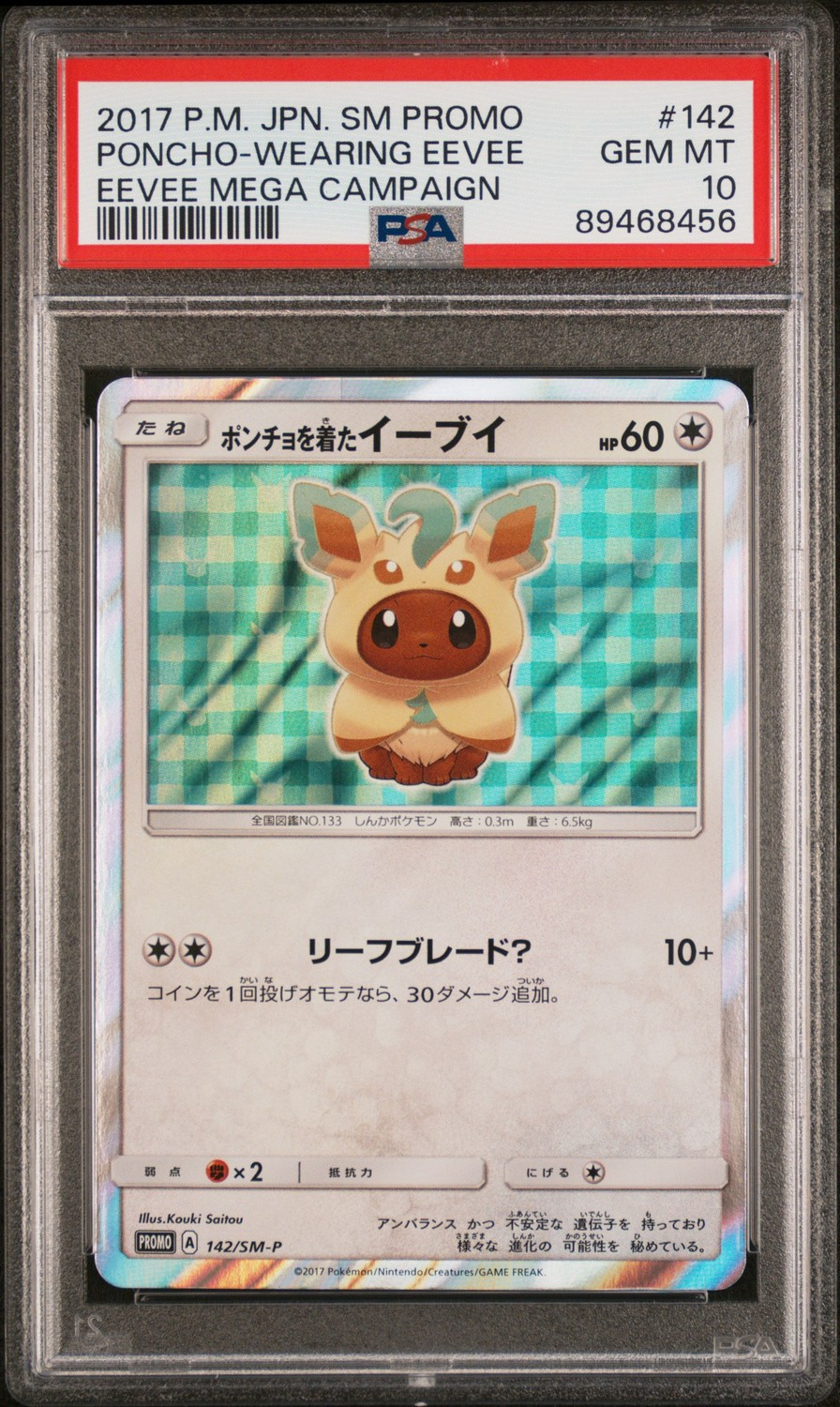 Poncho-Wearing Eevee