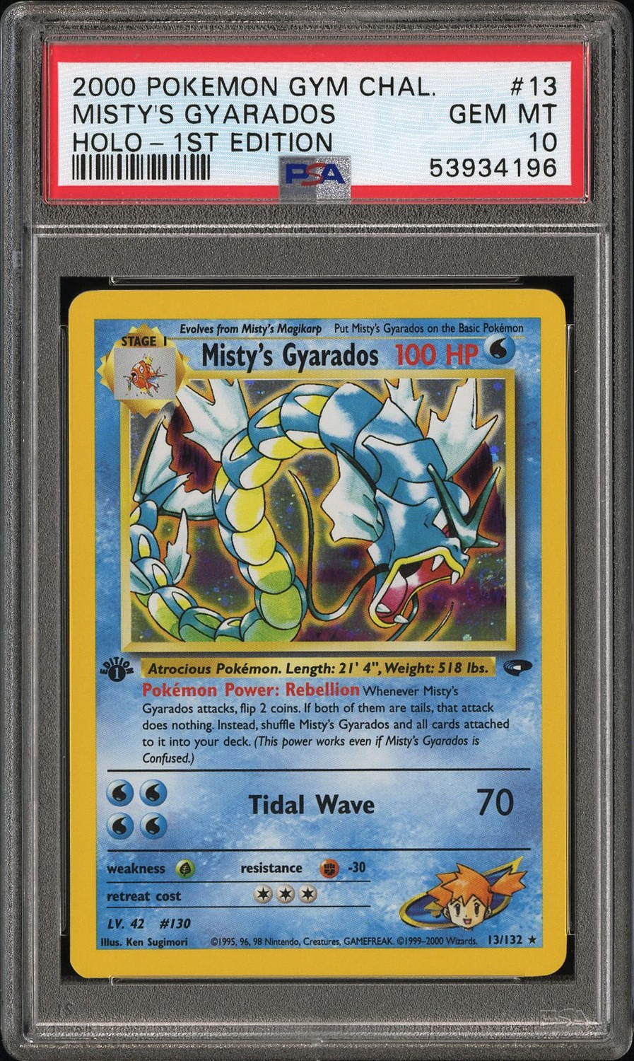 Misty's Gyarados