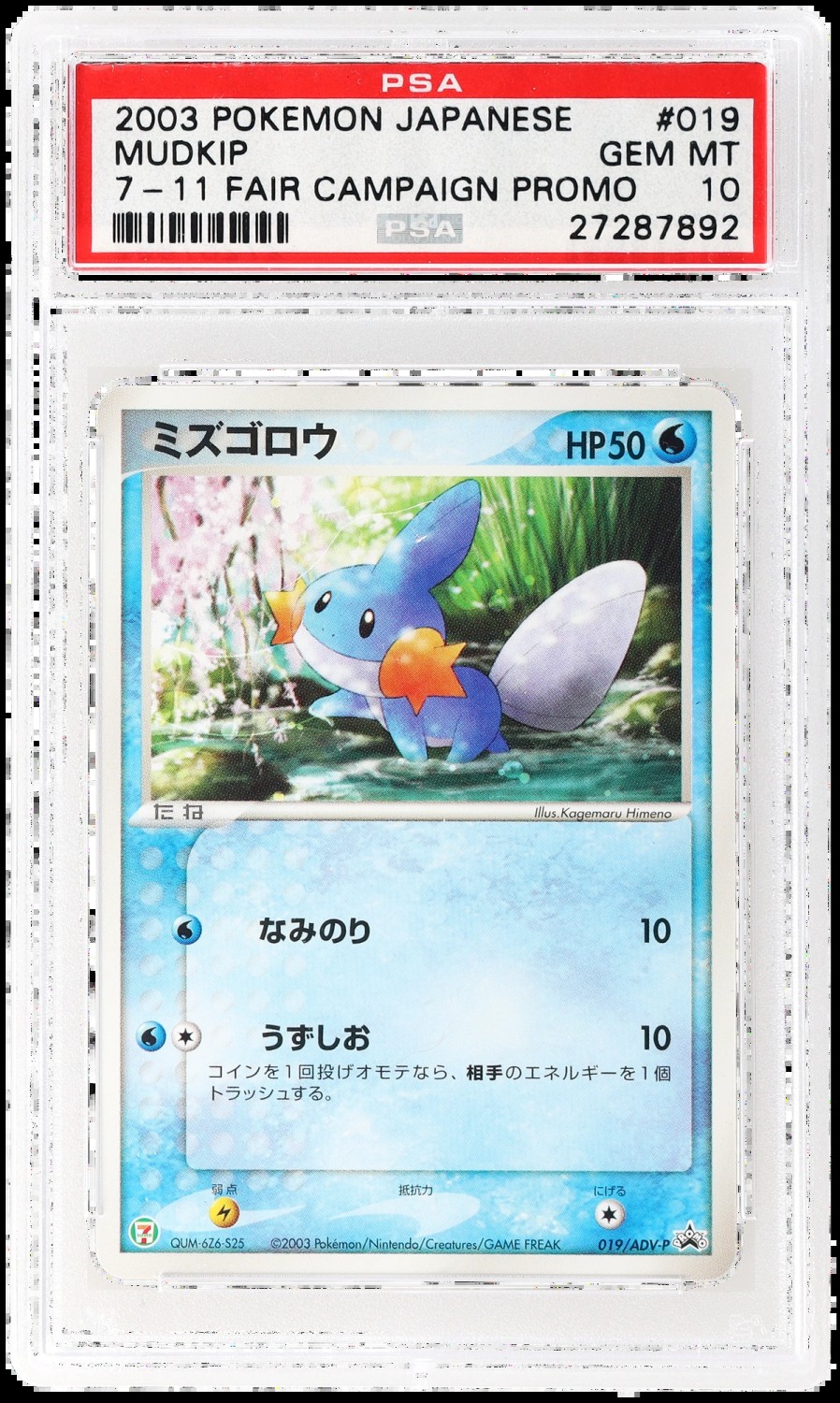 Mudkip