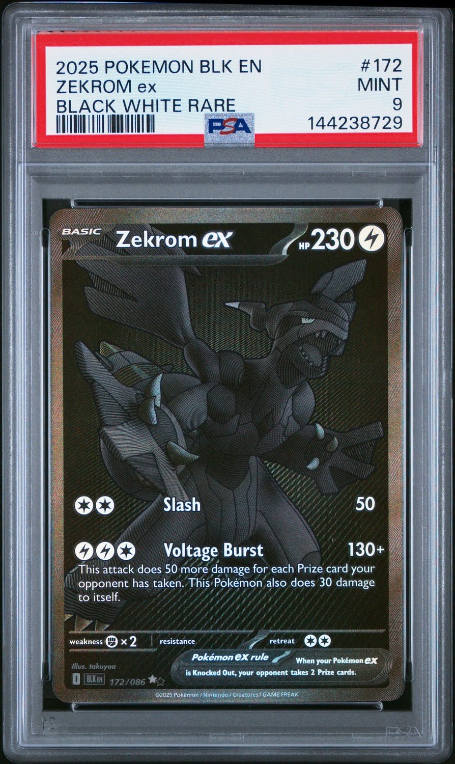 ZEKROM ex