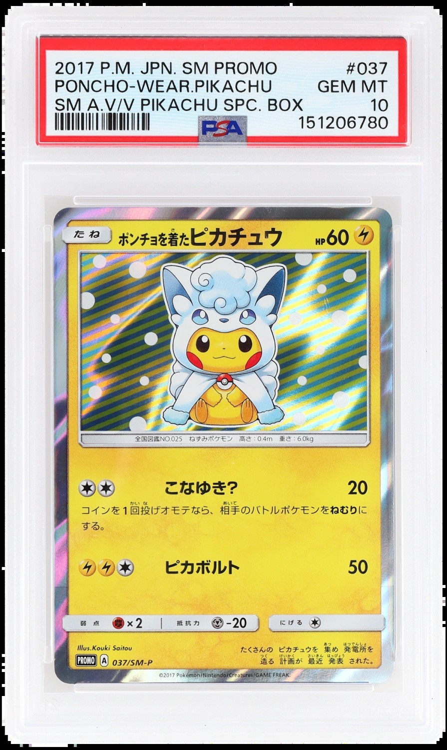 Poncho-Wear Pikachu