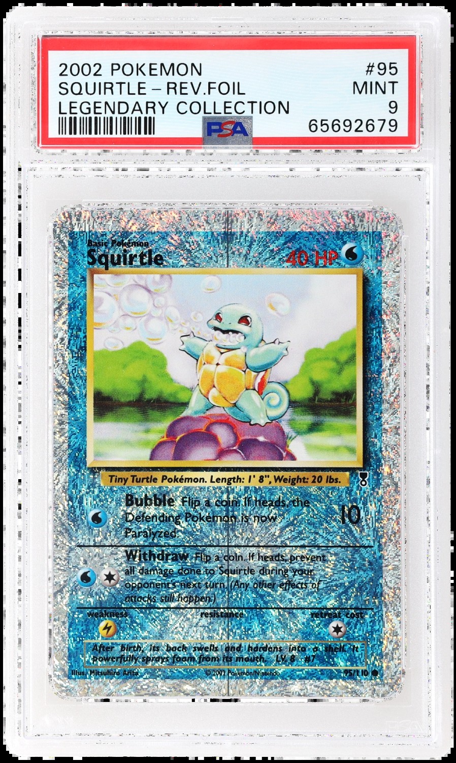 Squirtle