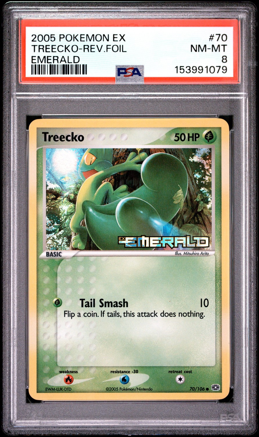 Treecko