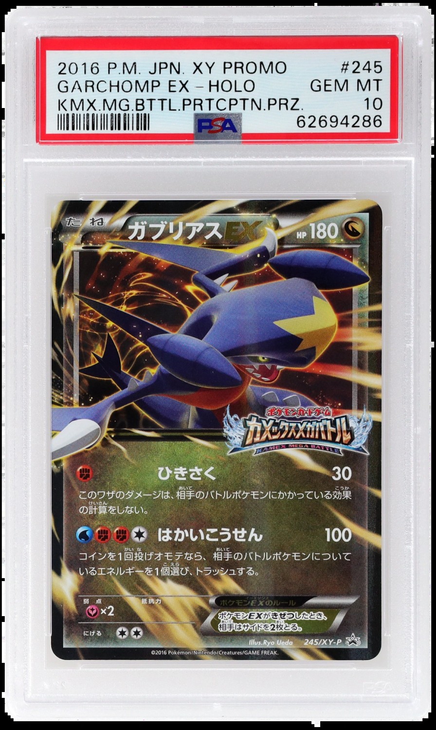 GARCHOMP EX