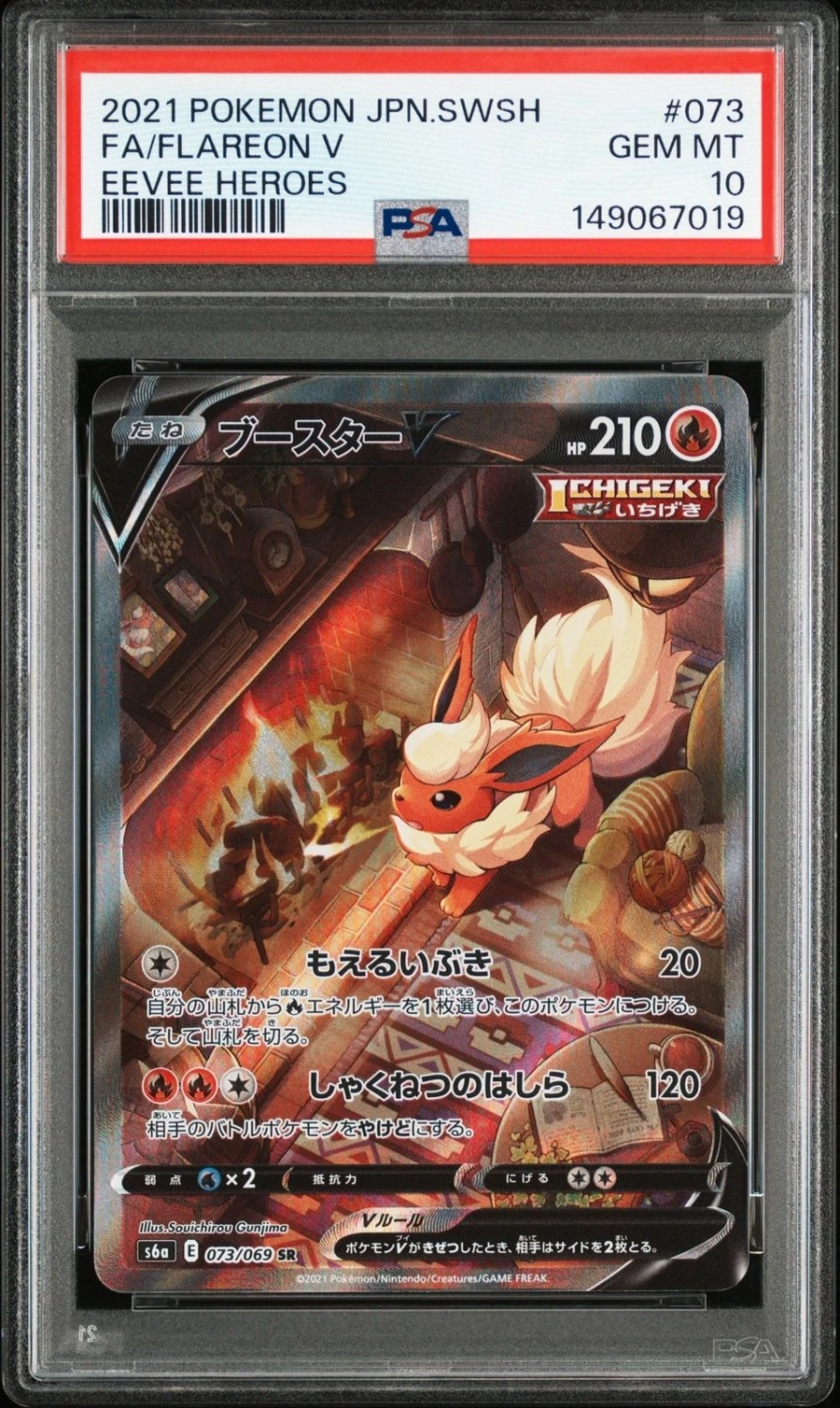 FA/FLAREON V