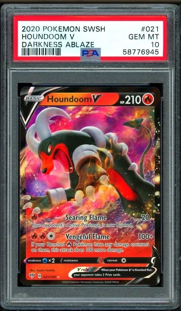 Houndoom V