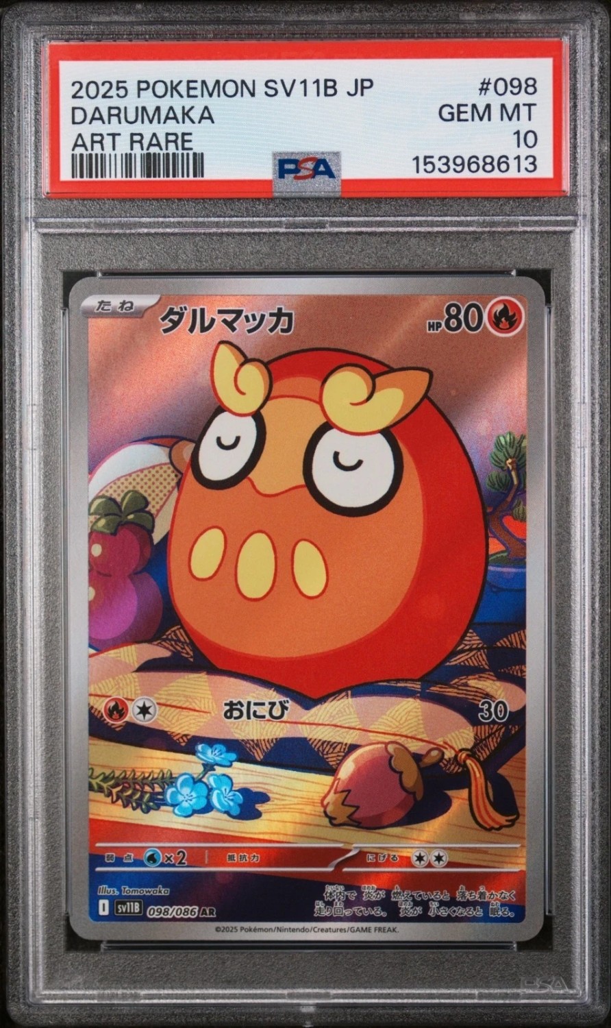 Darumaka