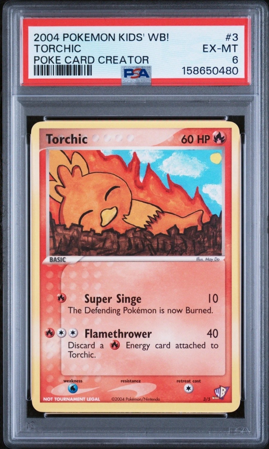 Torchic