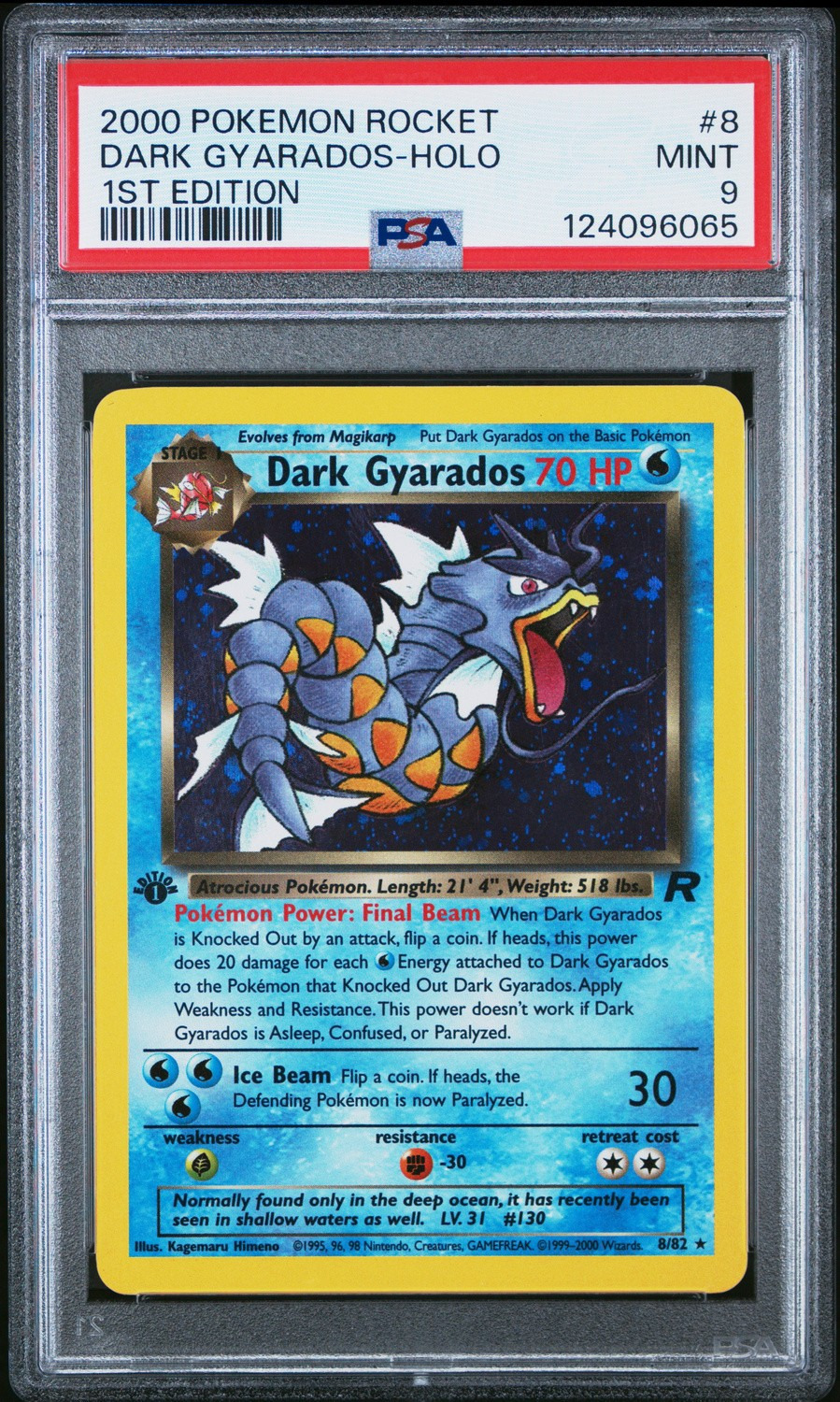 Dark Gyarados