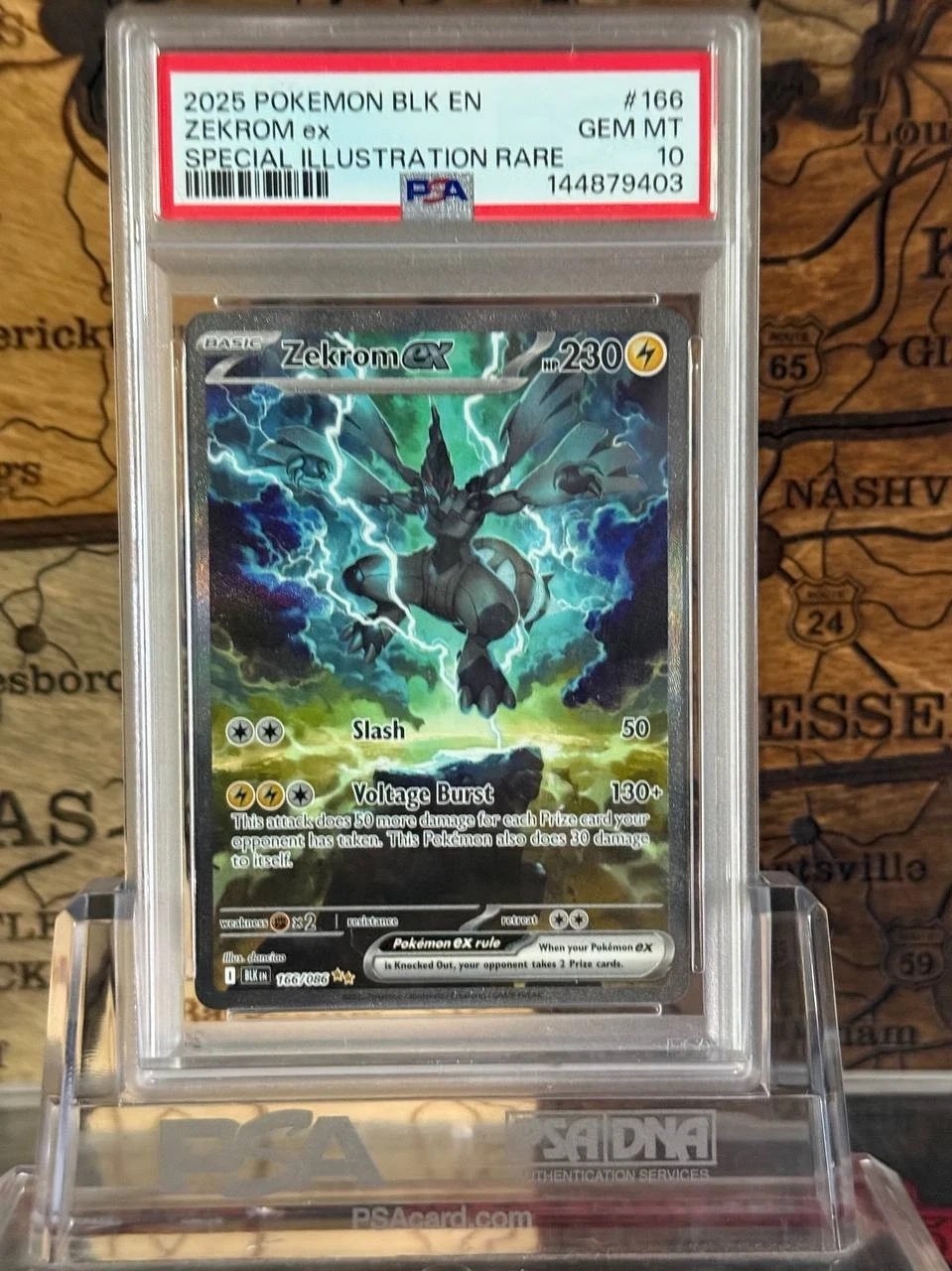 ZEKROM ex