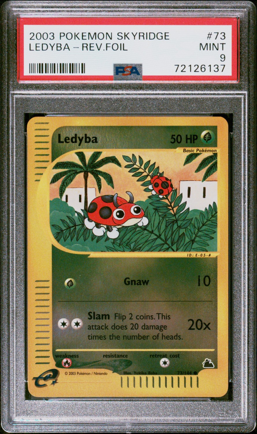 Ledyba