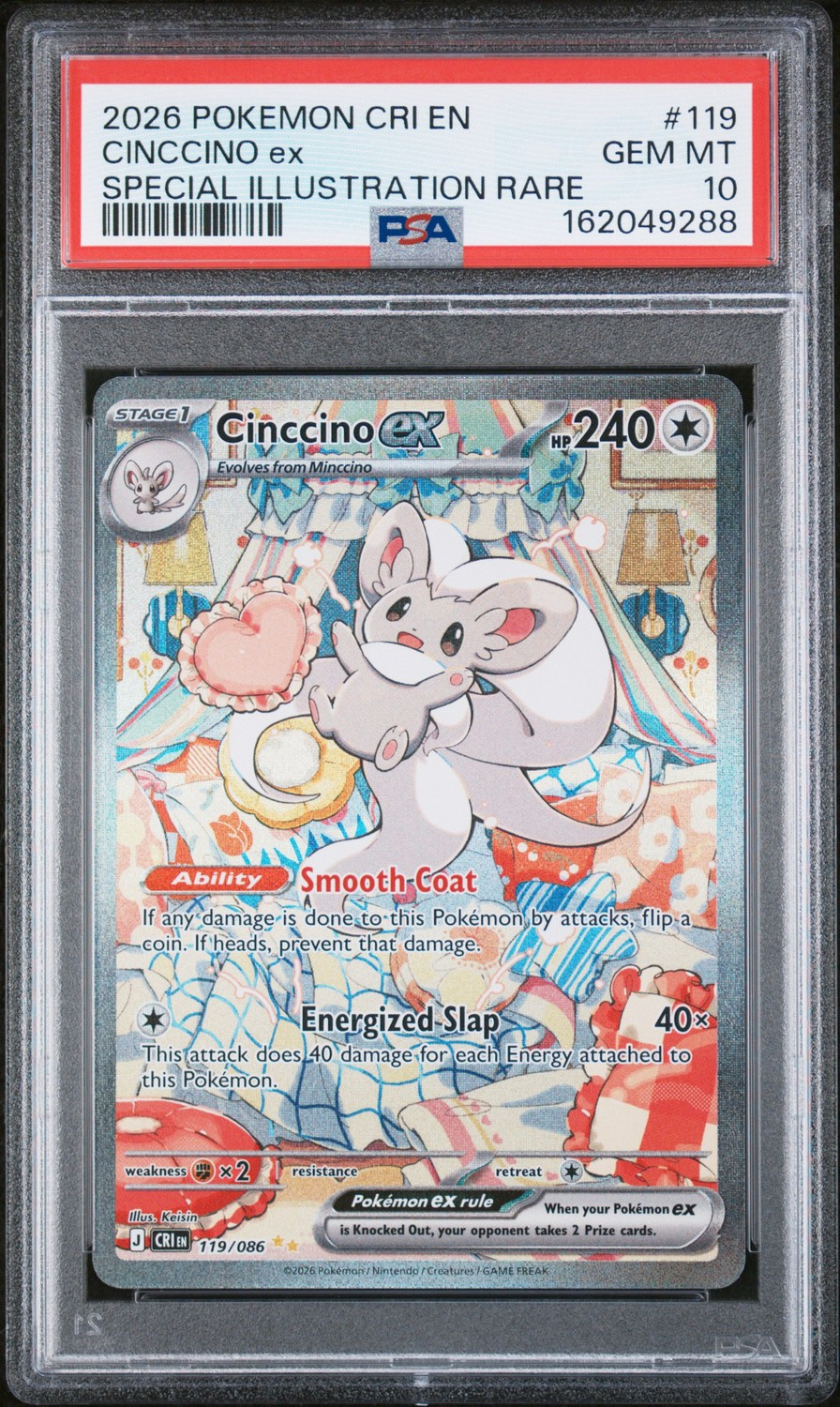 CINCCINO ex