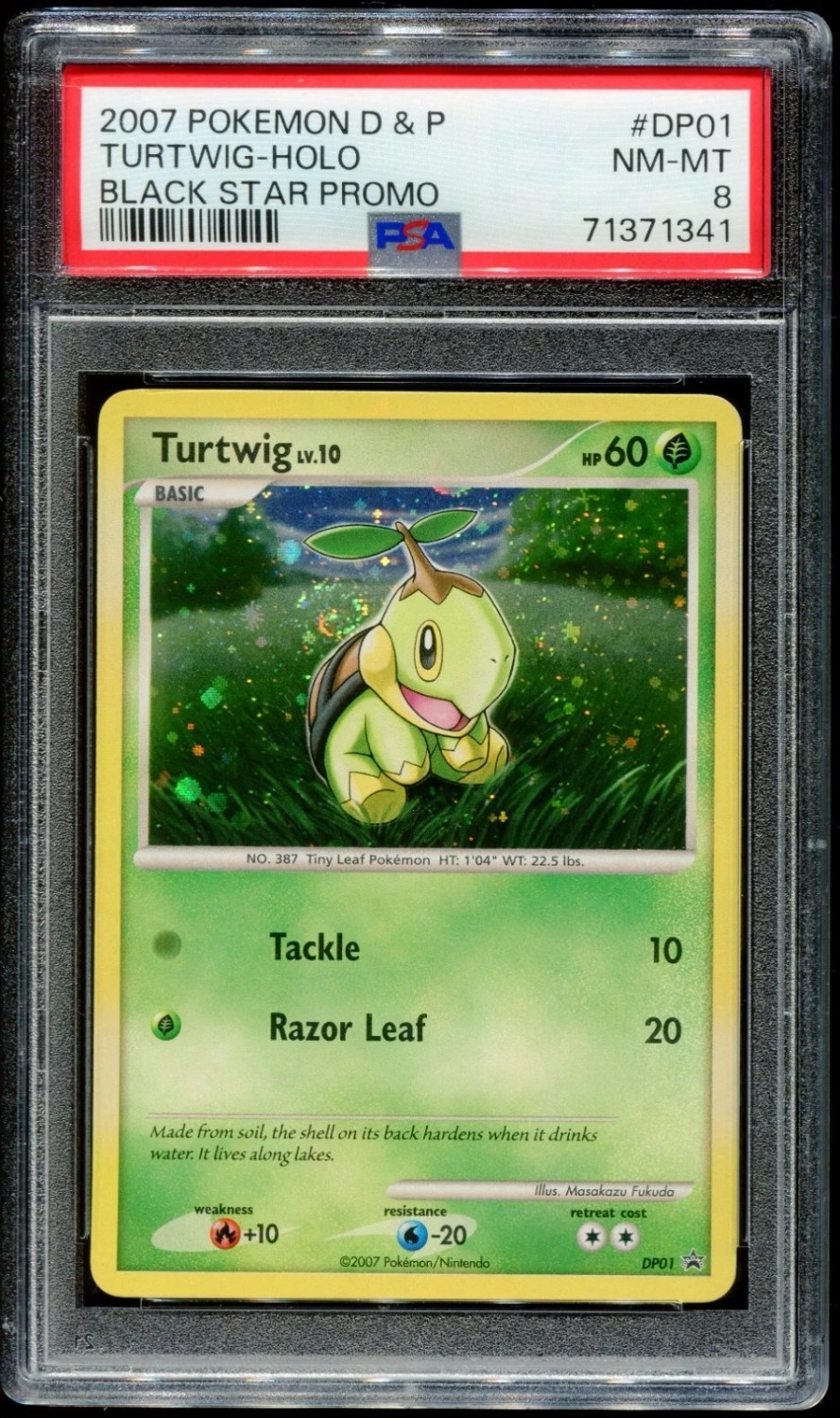 Turtwig
