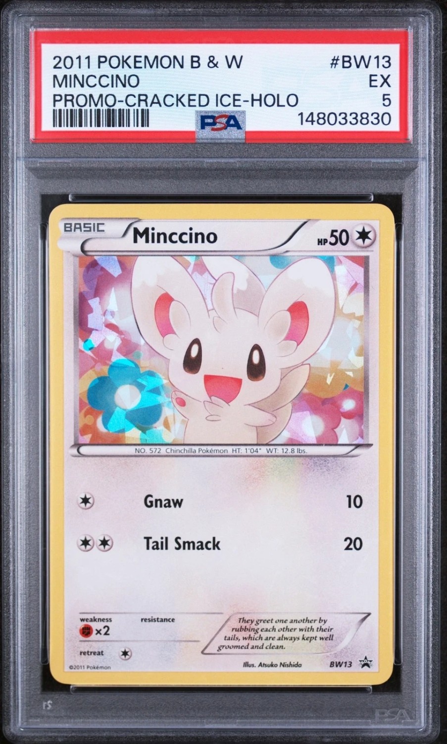 Minccino
