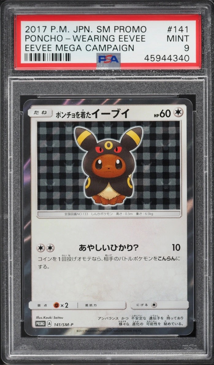 Poncho-Wearing Eevee