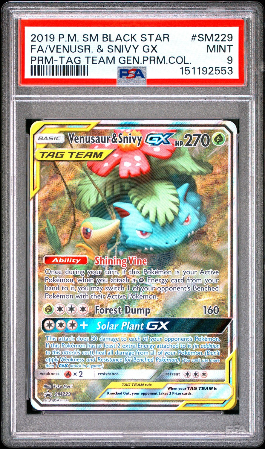 Venusaur & Snivy GX