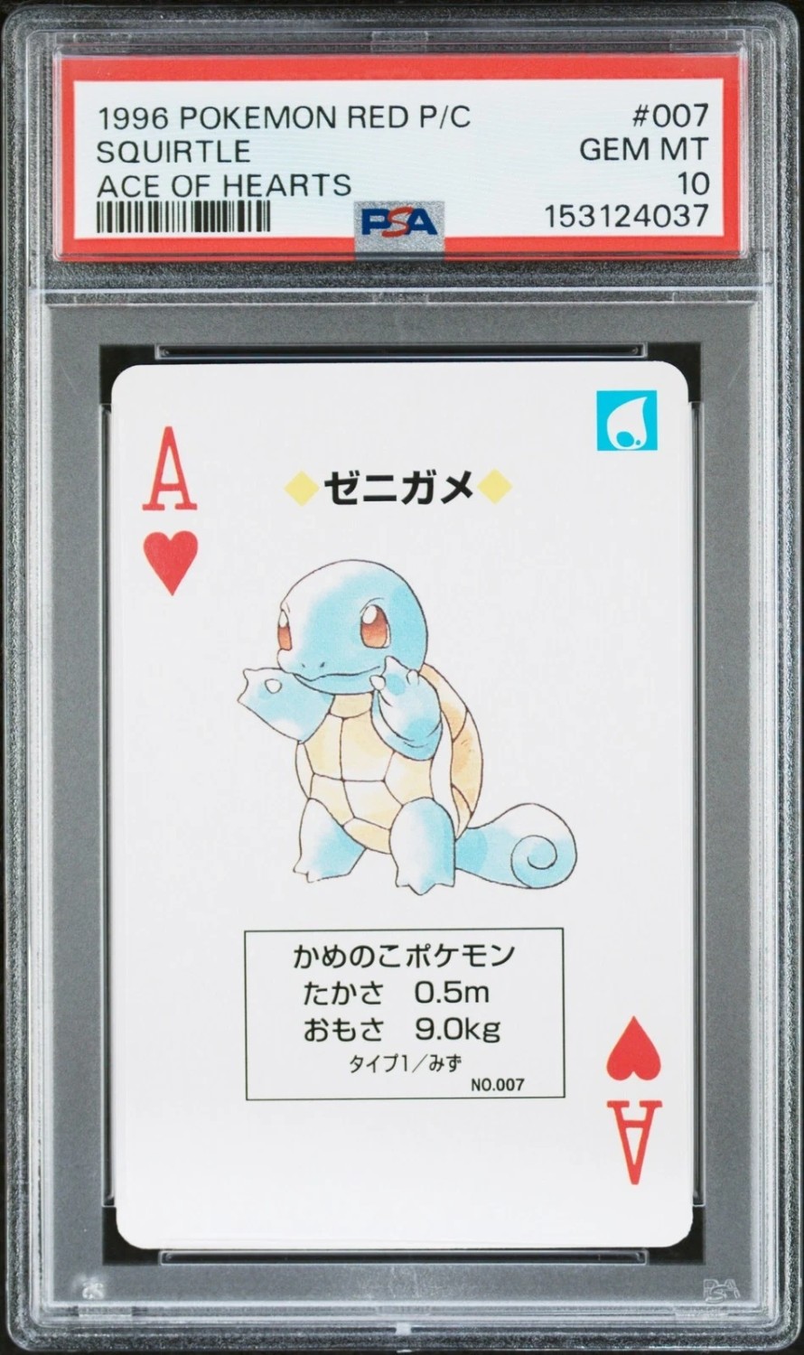 Squirtle