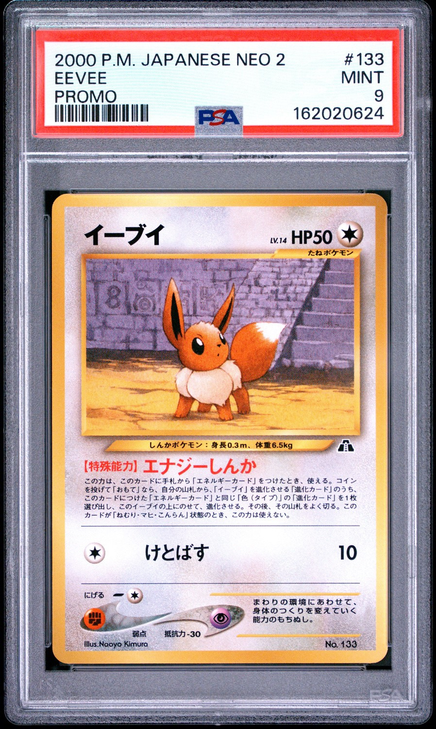 Eevee