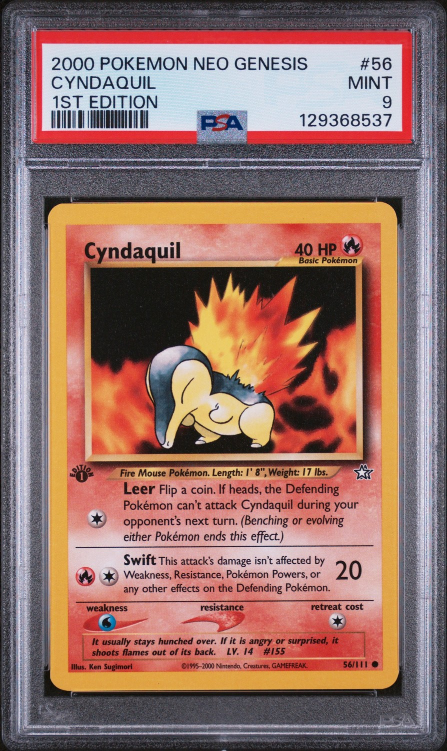 Cyndaquil