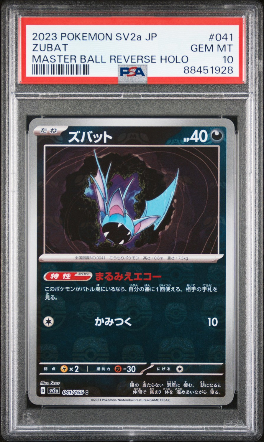 Zubat
